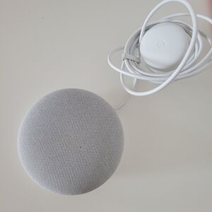 Google Home Mini